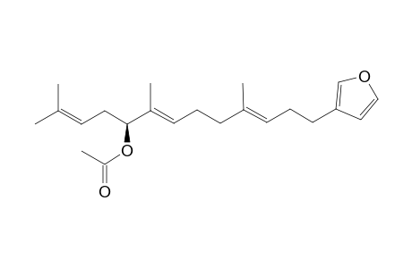 12-Acetoxyambliofuran