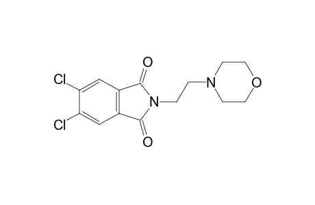 5,6-Dichloro-2-(2-morpholinoethyl)isoindoline-1,3-dione