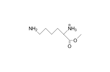 Lysine methyl ester cation