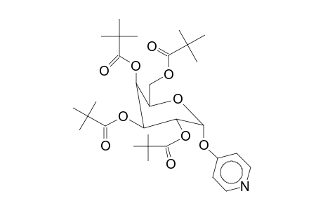 Tetra(2,2-dimethylpropionyl)-alpha-D-(4-pyridinyl)galactopyranoside