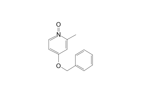 4-Benzyloxy-2-methylpyridine 1-oxide