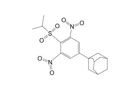 1-(1-Adamantyl)-4-isopropylsulphonyl-3,5-dinitrobenzene