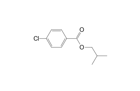 para-chloro isobutylbenzoate