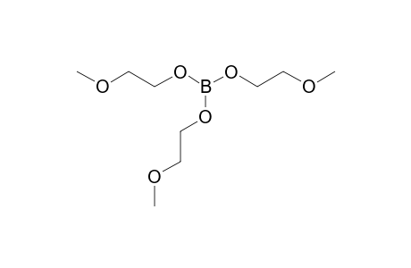TRIS-(2-METHOXYETHOXY)-BORANE