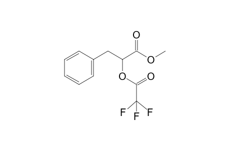 3-Phenyl-2-(2,2,2-trifluoro-1-oxoethoxy)propanoic acid methyl ester