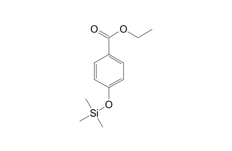 ethyl 4-trimethylsilyloxybenzoate