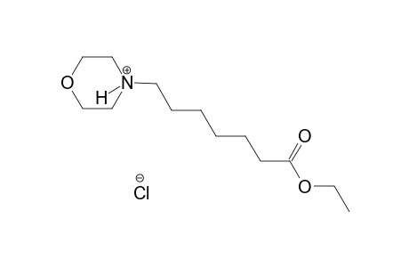 4-(7-ethoxy-7-oxoheptyl)morpholin-4-ium chloride