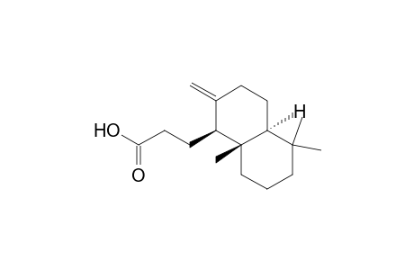1-Naphthalenepropanoic acid, decahydro-5,5,8a-trimethyl-2-methylene-, [1S-(1.alpha.,4a.beta.,8a.alpha.)]-