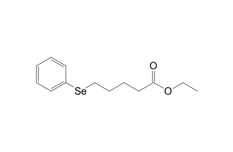 Ethyl 5-benzeneselenylpentanoate