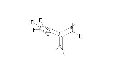 5,6-ENDO-7,8-TETRAMETHYL-2,3-TETRAFLUOROBENZOBICYCLO[2.2.2]OCTA-2,7-DIEN-5-YL CATION