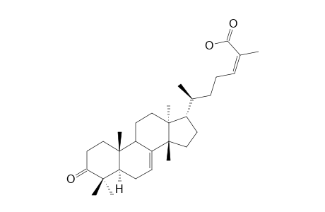 MASTICAIDENONIC-ACID;3-OXO-7,24Z-TIRUCALLADIEN-26-OIC-ACID