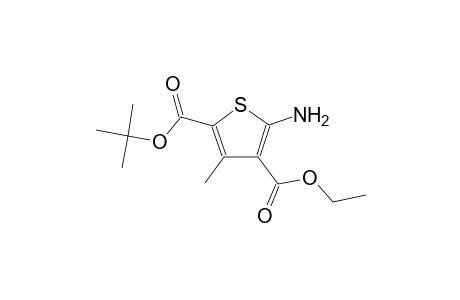 2-tert-butyl 4-ethyl 5-amino-3-methyl-2,4-thiophenedicarboxylate