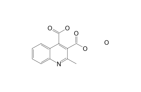2-Methyl-3,4-quinolinedicarboxylic acid monohydrate