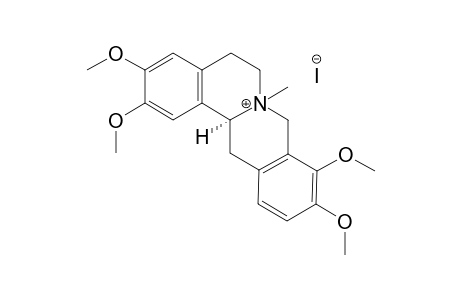 Tetrahydropalmatine methyl iodide