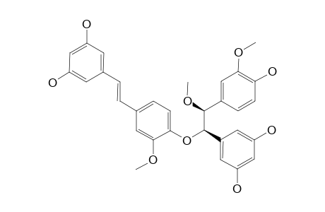 ERYTHRO-5-[1-[4-[(1E)-2-(3,5-DIHYDROXYPHENYL)-ETHENYL]-3-METHOXYPHENOXY]-2-METHOXY-2-(4-HYDROXY-3-METHOXYPHENYL)-ETHYL]-1,3-BENZENEDIOL