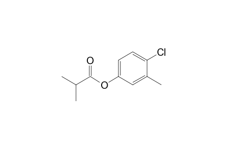 Isobutyric acid, 3-methyl-4-chlorophenyl ester