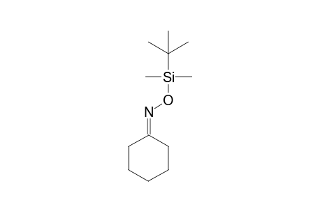 Cyclohexanone -(E)- {O-(t-butyl)dimethylsilyl]-oxime