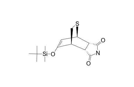 (1R*,4R*,5R*,6S*)-8-TERT.-BUTYLDIMETHYLSILYLOXY-2-THIABICYCLO-[2.2.2]-OCT-7-ENE-5,6-DICARBOXILIC-ACID-IMIDE