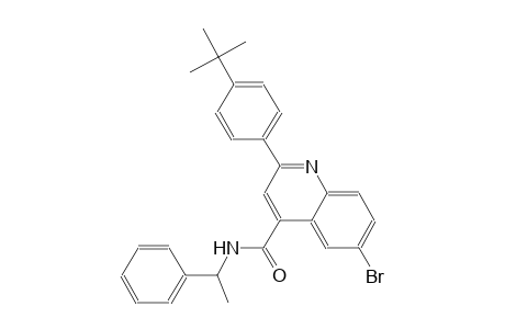 6-bromo-2-(4-tert-butylphenyl)-N-(1-phenylethyl)-4-quinolinecarboxamide