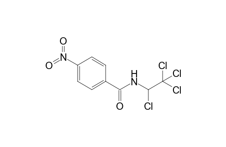 4-Nitro-N-(1,2,2,2-tetrachloroethyl)benzamide