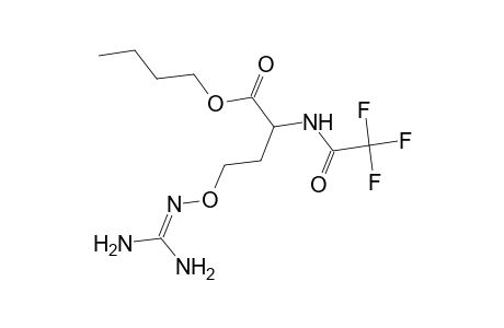 L-Homoserine, O-[(aminoiminomethyl)amino]-N-(trifluoroacetyl)-, butyl ester