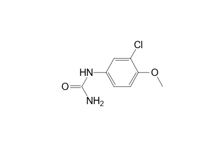 (3-chloro-4-methoxy-phenyl)urea