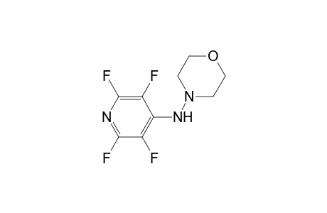 (Morpholin-4-yl)(2,3,5,6-tetrafluoropyridin-4-yl)amine
