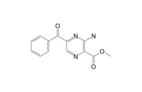 3-amino-5-(benzoyl)pyrazinic acid methyl ester