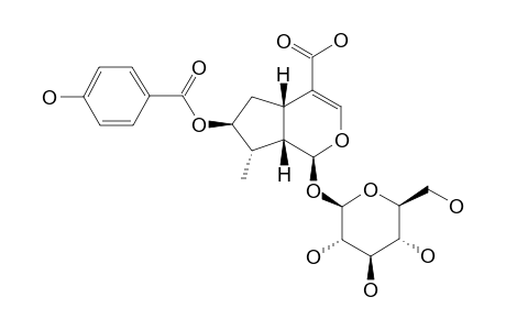7-O-PARA-HYDROXYBENZOYL-8-EPILOGANIC-ACID