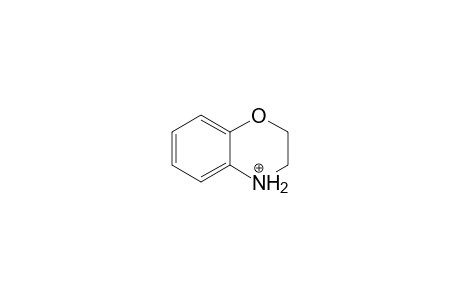 2,3-Dihydrobenzomorpholinium Ion