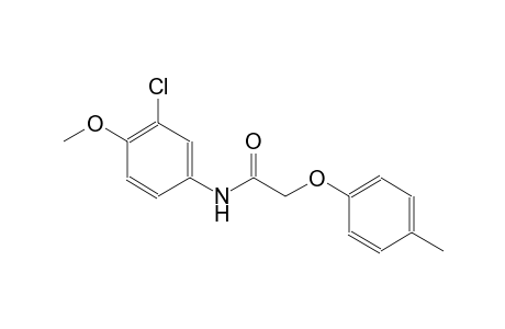 N-(3-chloro-4-methoxyphenyl)-2-(4-methylphenoxy)acetamide