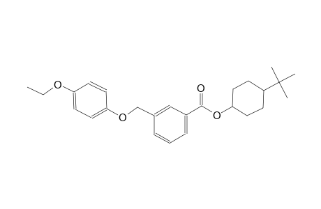 4-tert-butylcyclohexyl 3-[(4-ethoxyphenoxy)methyl]benzoate