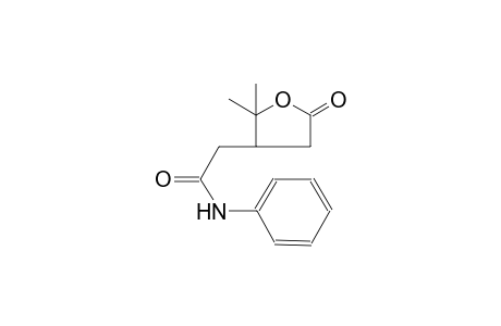 3-furanacetamide, tetrahydro-2,2-dimethyl-5-oxo-N-phenyl-