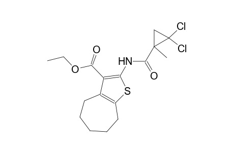 ethyl 2-{[(2,2-dichloro-1-methylcyclopropyl)carbonyl]amino}-5,6,7,8-tetrahydro-4H-cyclohepta[b]thiophene-3-carboxylate