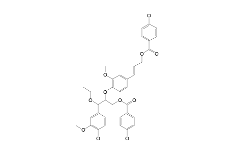 QUIQUESETINERVIUSIN_C;THREO-1-(4-HYDROXY-3-METHOXYPHENYL)-1-ETHOXY-2-{4-HYDROXY-3-METHOXYPHENYL-4-[(1-E)-3-(4-HYDROXYBENZOYL)-1-PROPENYL]-