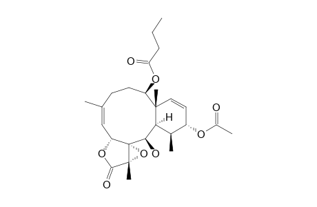 Stecholide G