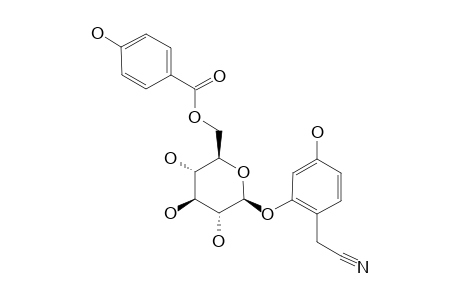 2-(2,4-DIHYDROXYPHENYL)-ACETONITRILE-2-O-BETA-D-GLUCOPYRANOSIDE-6'-O-PARA-HYDROXYBENZOATE