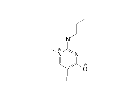 2-BUTYLAMINO-5-FLUORO-1-METHYLPYRIMIDIN-4-(1-H)-ONE;ENOL-FORM