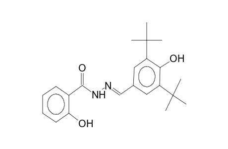 N'-(3,5-di-tert-butyl-4-hydroxybenzylidene)-2-hydroxybenzhydrazide