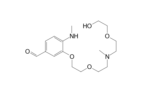 1-[2'-(Methylamino)-4'-formylphenyl]-1,4,10-trioxa-7-(N-methylaza)-12-hydroxydodecane