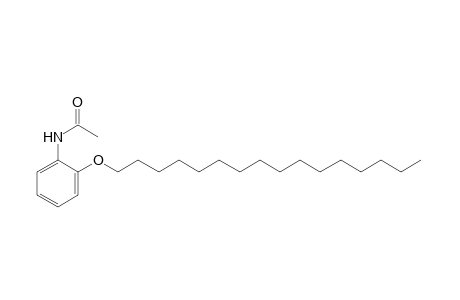 2'-(hexadecyloxy)acetanilide
