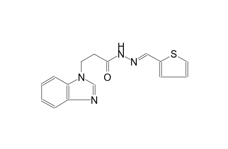 3-(1H-benzimidazol-1-yl)-N'-[(E)-2-thienylmethylidene]propanohydrazide