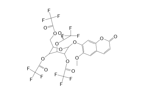 (3R,4S,6R)-2-((6-methoxy-2-oxo-2H-chromen-7-yl)oxy)-6-((2,2,2-trifluoroacetoxy)methyl)tetrahydro-2H-pyran-3,4,5-triyl tris(2,2,2-trifluoroacetate)