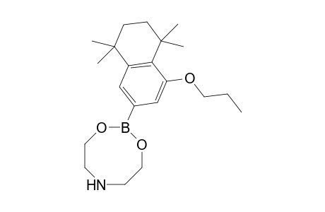 2-(4-Propoxy-5,5,8,8-tetramethyl-5,6,7,8-tetrahydronaphthalen-2-yl)-1,3,6,2-dioxazaborocane