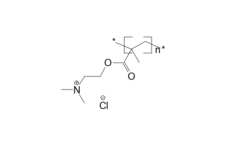 Poly(2-dimethylaminoethyl methacrylate hydrochloride)