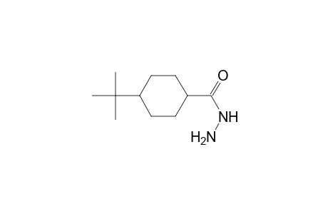4-tert-butylcyclohexanecarbohydrazide