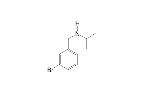 N-iso-Propyl-3-bromobenzylamine