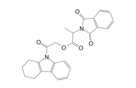 2-oxo-2-(1,2,3,4-tetrahydro-9H-carbazol-9-yl)ethyl 2-(1,3-dioxo-1,3-dihydro-2H-isoindol-2-yl)propanoate