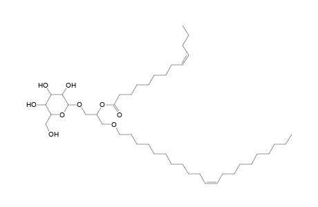 MGDG O-21:1_13:1