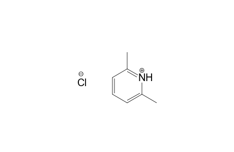 2,6-Dimethylpyridine hydrochloride